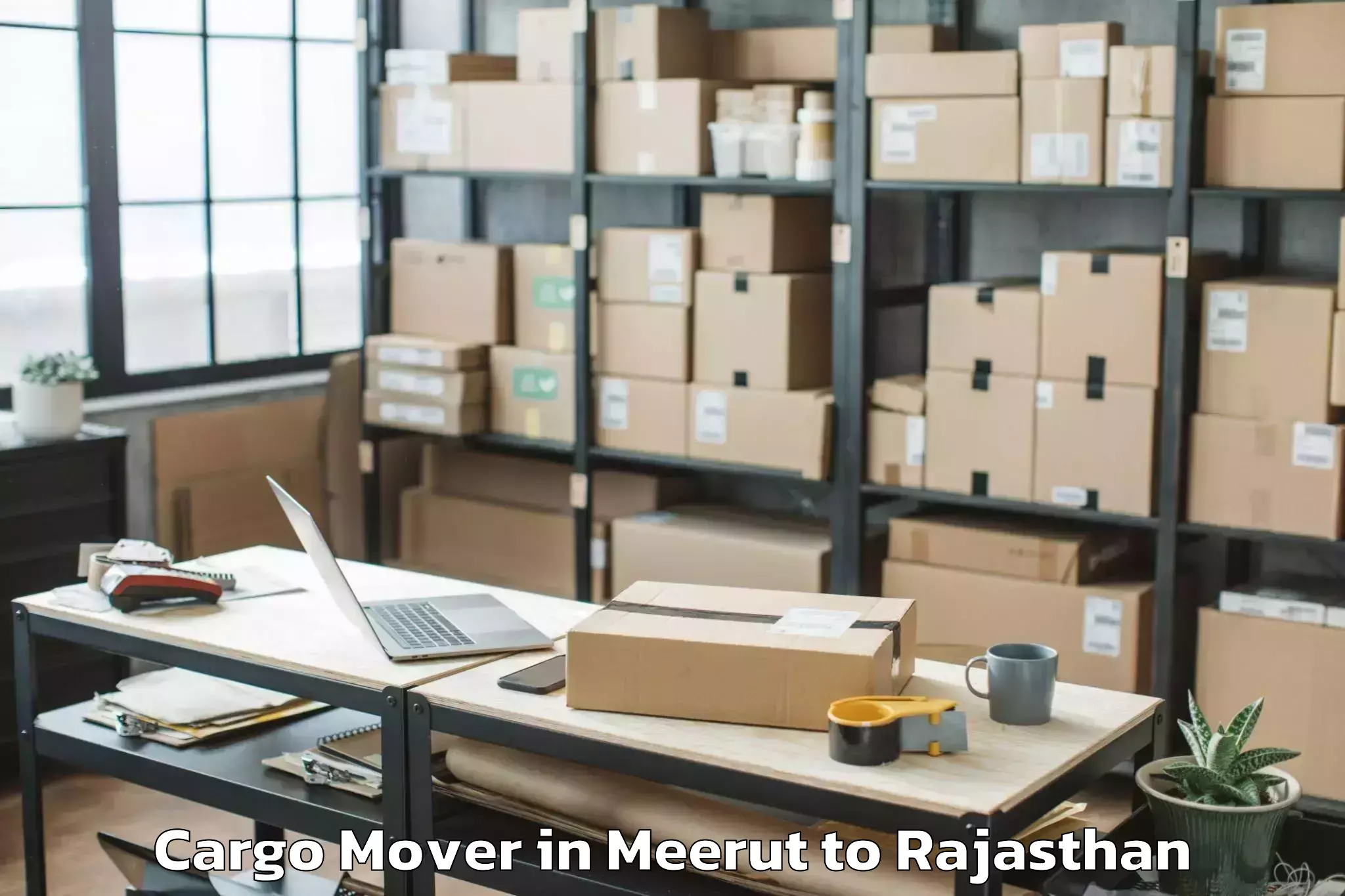 Efficient Meerut to Jobner Cargo Mover